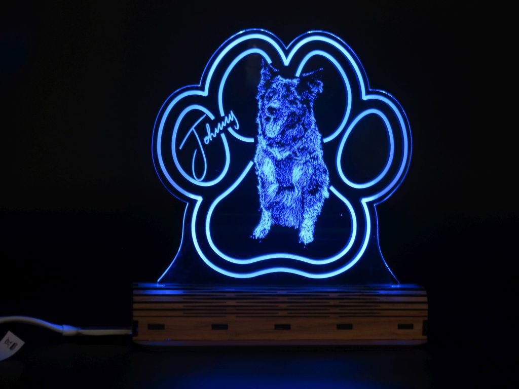 Acryllampeneinsatz Hundepfote mit Bildgravur (150 mm)